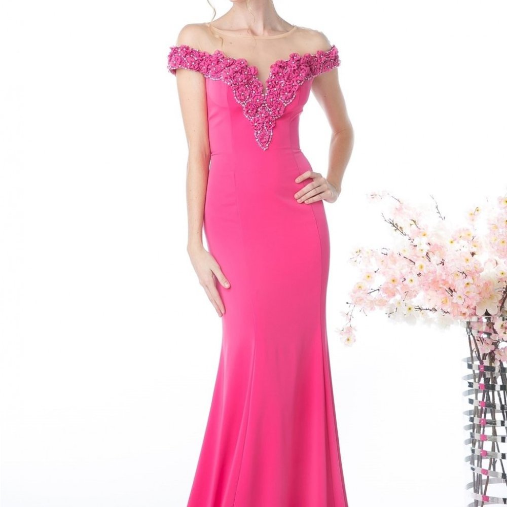 Illusion Bateau Neckline Mermaid Dress CDCR735